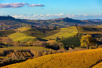 Wall Mural - Hills and vineyards of Langhe, Italy in autumn.