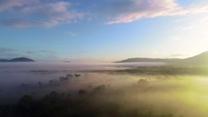 Wall Mural - Drone footage going up through the foggy and mountains on a morning after sunrise. Dominican Republic