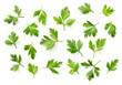 © Amy Lv - fresh flat parsley isolated on white background, top view