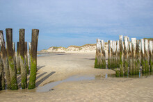 Wave Breaker Made Of Wooden Stakes On The Beach, Haamstede, Netherlands