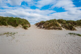 Fototapeta Morze - sand dunes on the beach