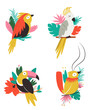 Set of colorful tropical birds in leaves
