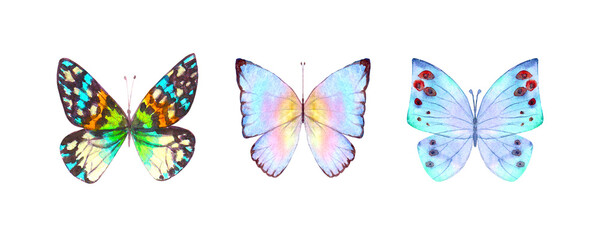 Watercolor botanical summer set of multicolor colorful butterflies