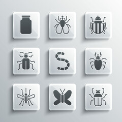 Poster - Set Butterfly, Stink bug, Beetle deer, Worm, Mosquito, Chafer beetle, Glass jar and Colorado icon. Vector