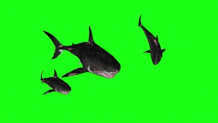 3d illustration - Sharks on a Green background