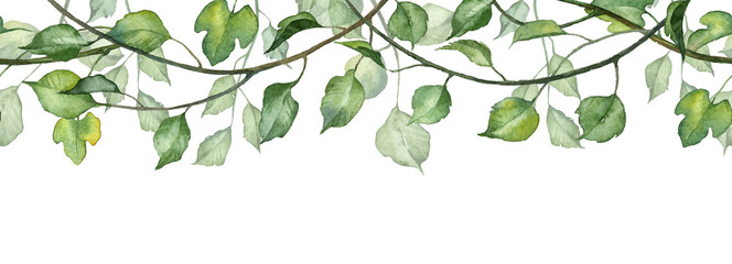 long seamless banner with hanging leaves on twigs. watercolor hand painted botany green fresh leaves