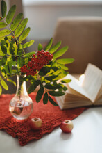 Autumn Still Life With A Rowan Branch In A Vase, Book And Apples In A Cozy Home Interior