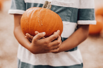 pumpkin patch looking for a local, pumpkin patch, corn maze, hayride, gourds and other halloween act
