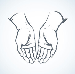 Wall Mural - Praying hands. Vector drawing