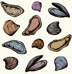 Canvas Print - Oyster. Vector drawing