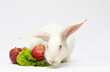 White rabbit and apple isolated on a white background.