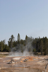 Wall Mural - grand prismatic spring