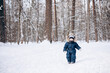 © Lyubov - Child walking in snowy spruce forest. Little kid boy having fun outdoors in winter nature. Christmas holiday. Cute toddler boy in blue overalls and knitted scarf and cap playing in park.