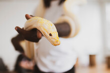Person Holding A Snake