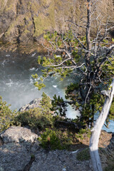 Wall Mural - river in the woods