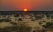Animals and lanscapes of Kalahari Desert, Namibia