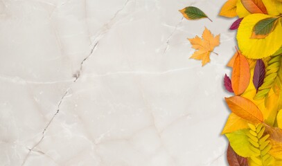 Sticker - Autumn mood background. Frame made of autumn dried leaves on the desk