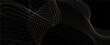 © Olga Tsikarishvili - Premium elegant design with golden line pattern on black background. Vector horizontal template for web banner, invitation, luxury flyer, business voucher, gift certificate.