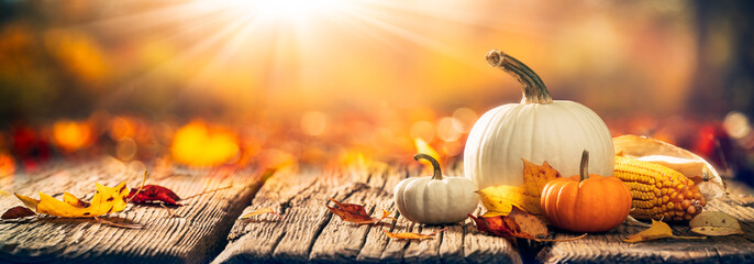 Wall Mural - mini pumpkins, corn and leaves on wooden harvest table with sunlight - thanksgiving / harvest backgr