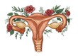 A digitally illustrated anatomical drawing of a woman's uterus, decorated with a collection of leaves and flowers