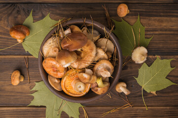 Wall Mural - Top view of a bowl with wild mushrooms on a wooden background with leaves. Flat lay.