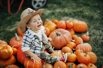 A laughing kid in a cowboy hat sits on bright orange pumpkins. Holiday, Halloween, an American tradition