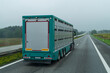 Ein Viehtransporter auf einer deutschen Autobahn