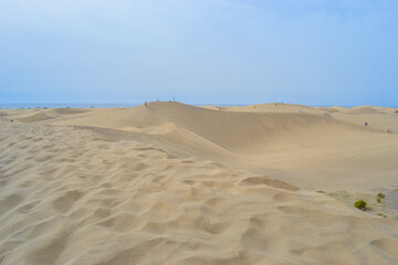 The Maspalomas Dunes are sand dunes located on the south coast of the island of Gran Canaria