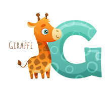 G Letter And Cute Giraffe Baby Animal. Zoo Alphabet For Children Education, Home Or Kindergarten Decor Cartoon Vector Illustration