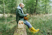 Mature Man Using Mobile Phone While Sitting On Tree Trunk