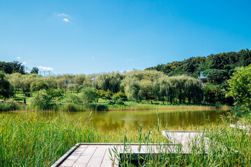 Canvas Print - North Seoul Dream Forest park in Seoul, Korea