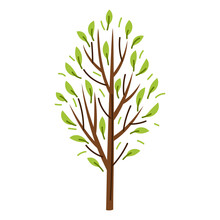 Spring Or Summer Stylized Tree With Green Leaves.