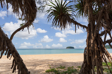 Wall Mural - Beautiful nature of the Andaman Sea and white sand beach in the morning at Patong Beach, Phuket Island, Thailand