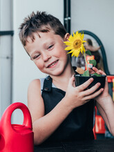 Cheerful Boy Showing Pot With Blooming Sunflower