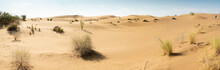 A Beautiful Panoramic View Of The Sand Dunes. Endless Arid Desert