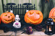 Halloween decorations concept at night. Close up of jack o'lantern, glowing vintage lanterns, scary pumpkins, skull, autumn leaves. Colorful halloween lights on evening. Happy Halloween spooky scene