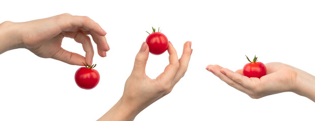 Wall Mural - Cherry tomatoes in hand, set of photos, banner design, isolated on a white background