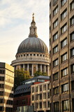 Fototapeta Big Ben - St. Paul's Cathedral, view of the dome.