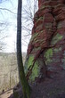 Massive red sandstone rock formation Altschloßfelsen near the German-French border, Eppenbrunn, Pfalz, Germany