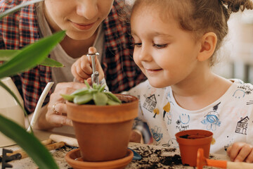 Wall Mural - Happy mixed race family little girl with her mother is planting houseplants at home.Home gardening.Family leisure, hobby concept.Biophilia design and urban jungle concept.