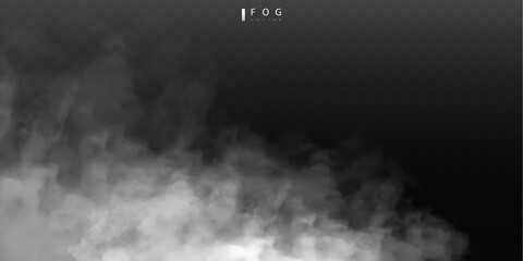 Wall Mural - White fog or smok. Realistic fog. Atmosphere mist effect and smoke clouds isolated on transparent background. Vector abstract cloud texture