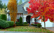 © tab62 - Suburban home during late autumn season as leaves turn bright red