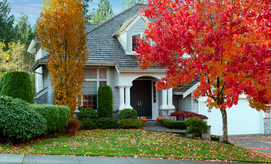 suburban home during late autumn season as leaves turn bright red