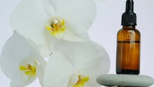 Massage Oil And Massage Stones. White Orchid Flowers, Massage Gray Stones And Massage Oil On White Background.Beauty And Relaxation 