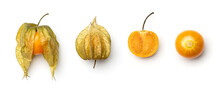 Collection Of Physalis Berries Isolated On White Background