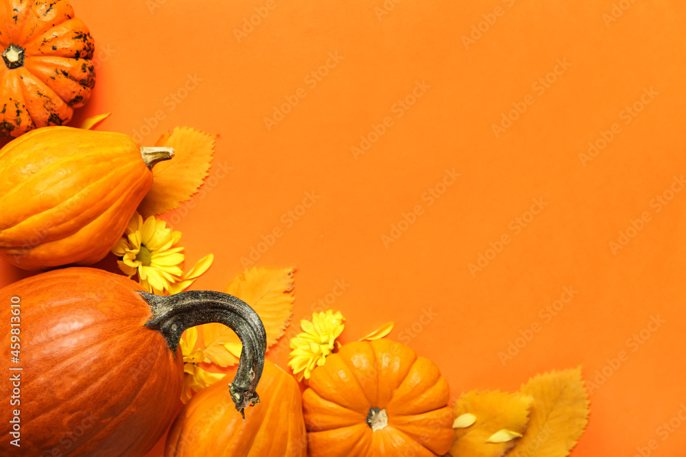 Different pumpkins and flowers on color background