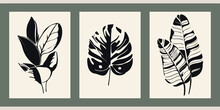Set Of Three Stencil Graffiti Posters. Contrasting Minimalist Vintage Backgrounds. Illustration For Decor, Covers. Black Silhouettes Of Hand Drawn Plants And Leaves On A Beige Background. Monstera.