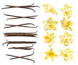 Fototapeta Sypialnia - Vanilla pods and flowers set isolated on the white background. Collection of vanilla orhid flowers and vanilla sticks.