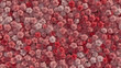 © RocknRoller Studios - Red, Beautiful Flower Blooms arranged in the shape of a wall. Bright, Elegant, Carnations composed to create a Romantic floral background. 3D Render