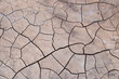 Full-screen texture of cracked dry brown earth.